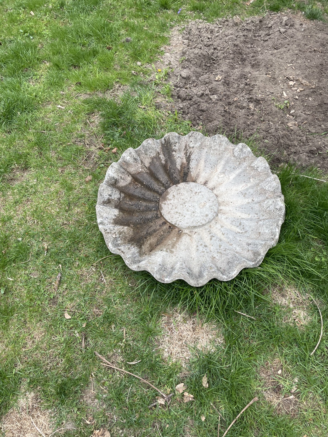 Vintage Concrete Bird Bath