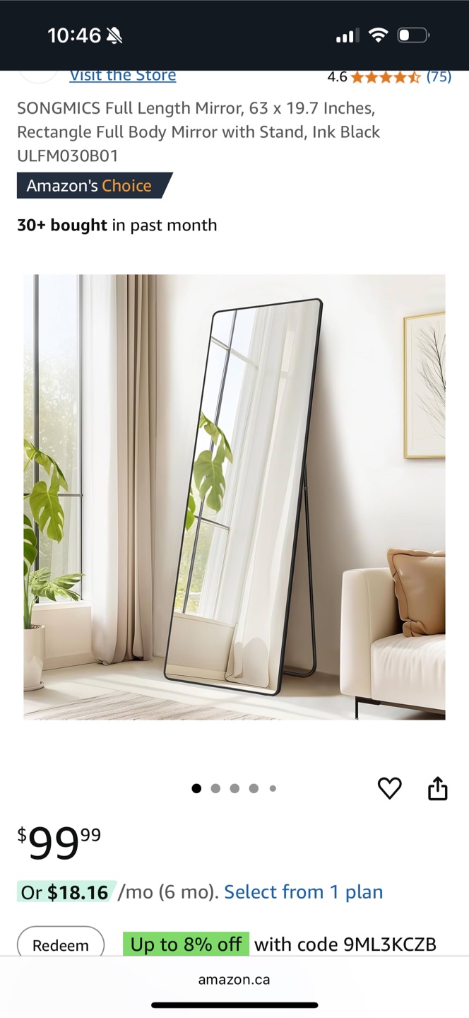 Full Length Mirror - Black