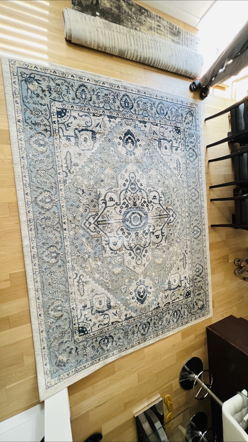 Large Blue and Beige Area Rug - photo 3