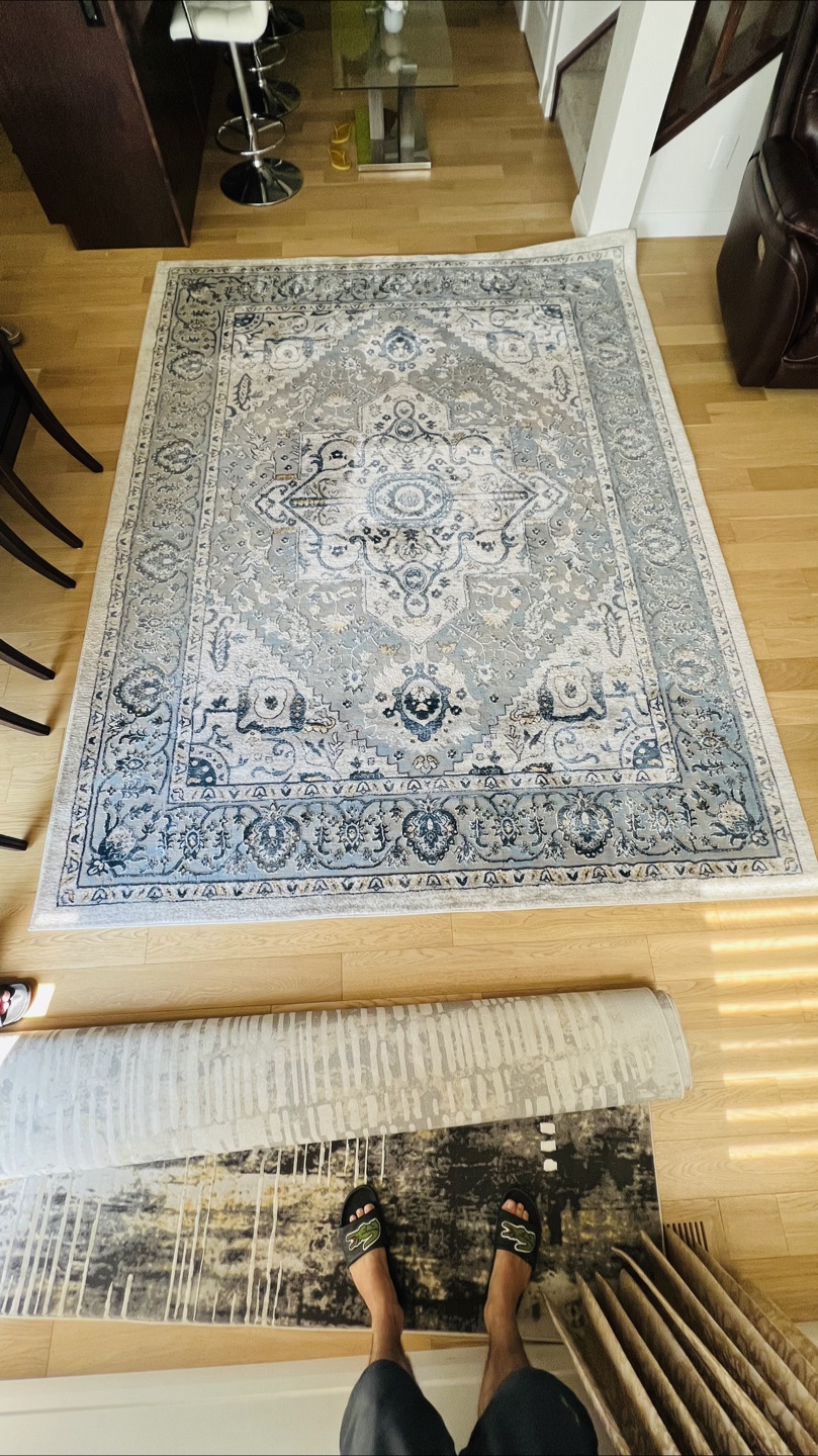 Large Blue and Beige Area Rug - photo 2