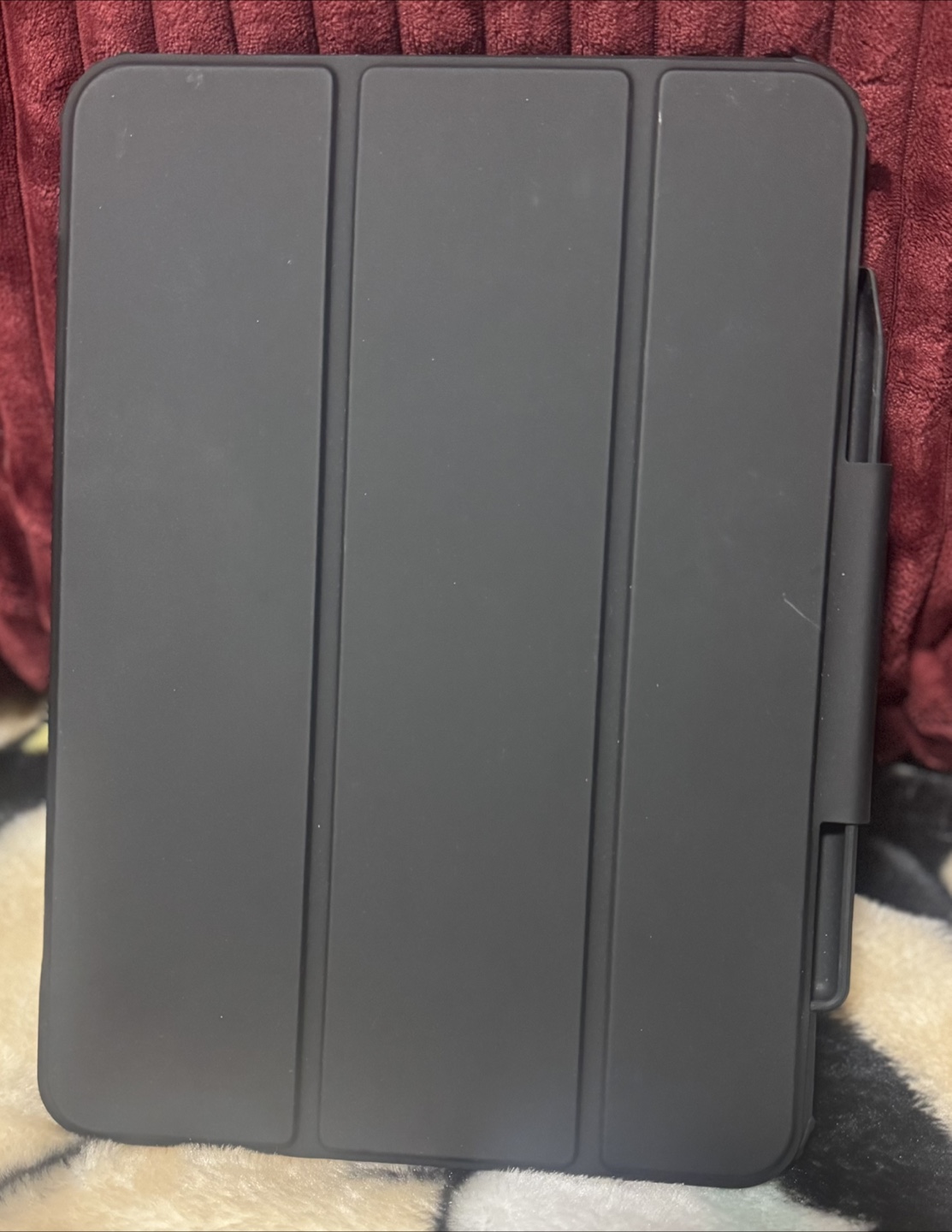 iPad Pro 11-inch Case with Pencil Holder