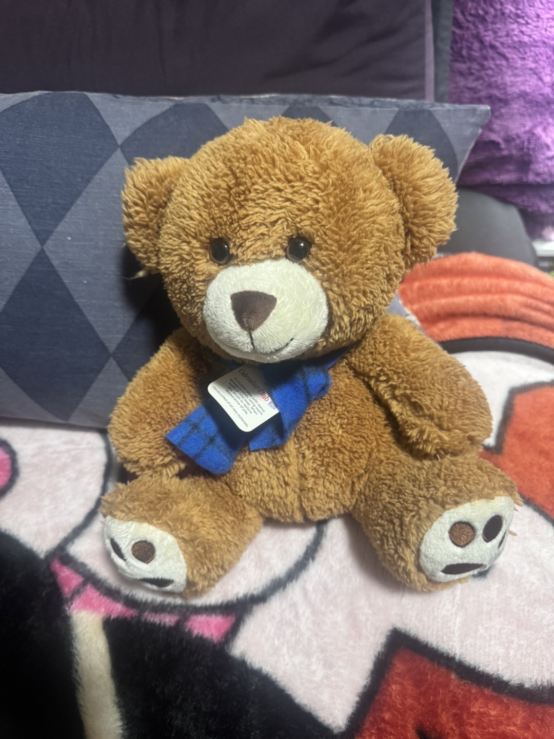 Adorable Brown Teddy Bear with Blue Scarf