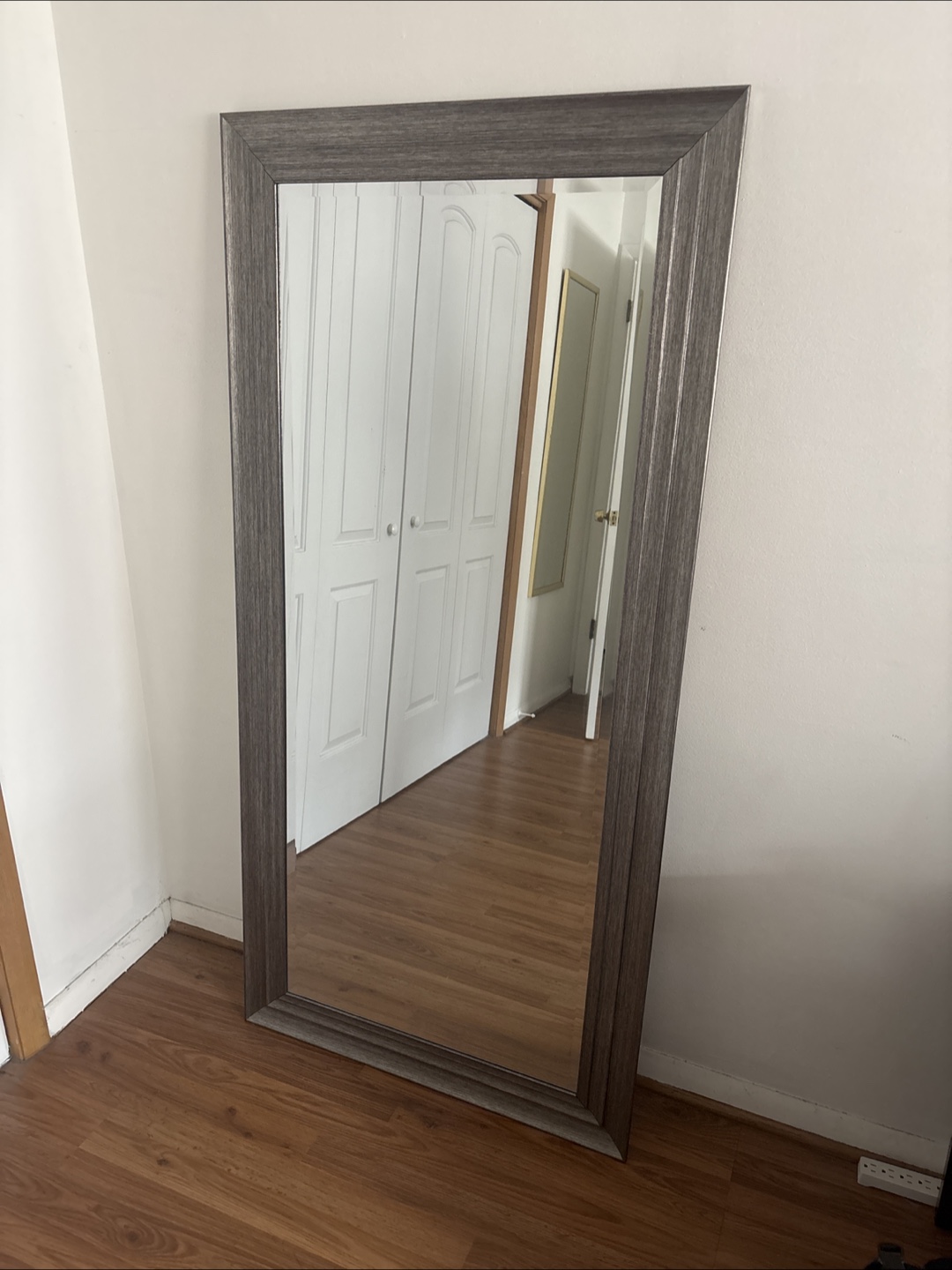 Full Length Gray Frame Mirror