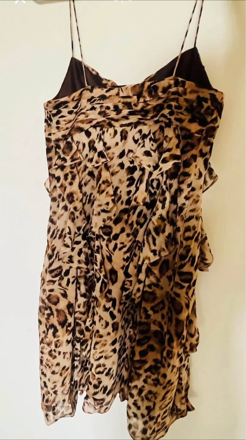 Coldwater Creek Leopard Print Dress Size 6 image indicator(2)