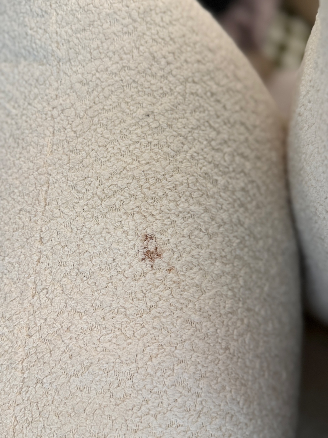 Cream-Colored Comfy Sofa - photo 5