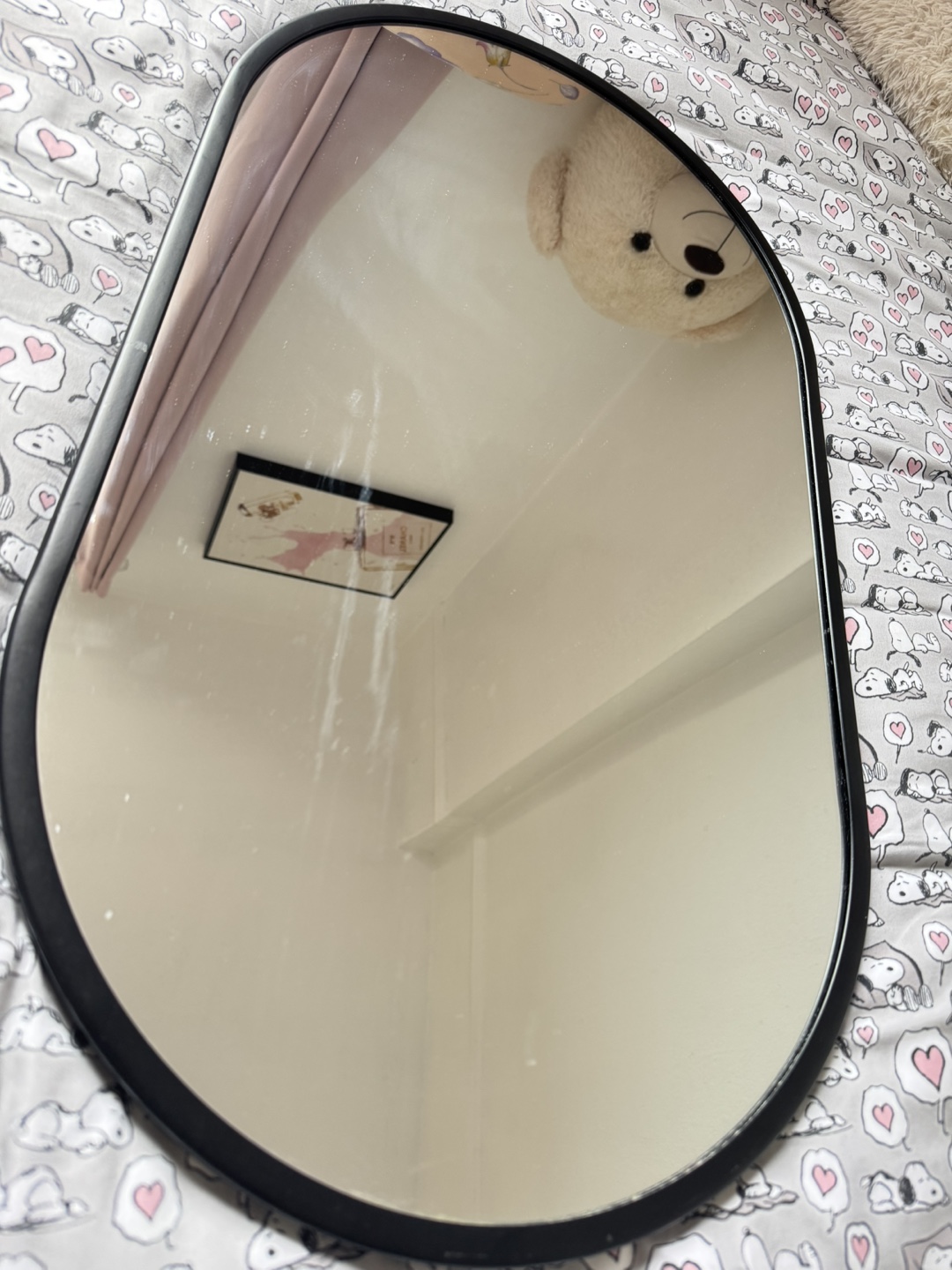 Oval Wall Mirror with Black Frame