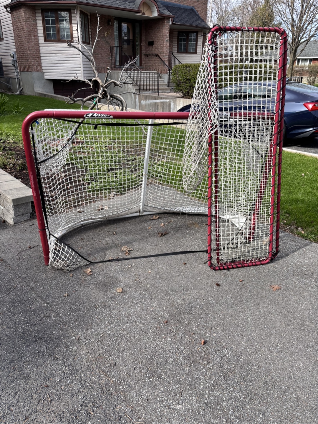 Used Hockey Net