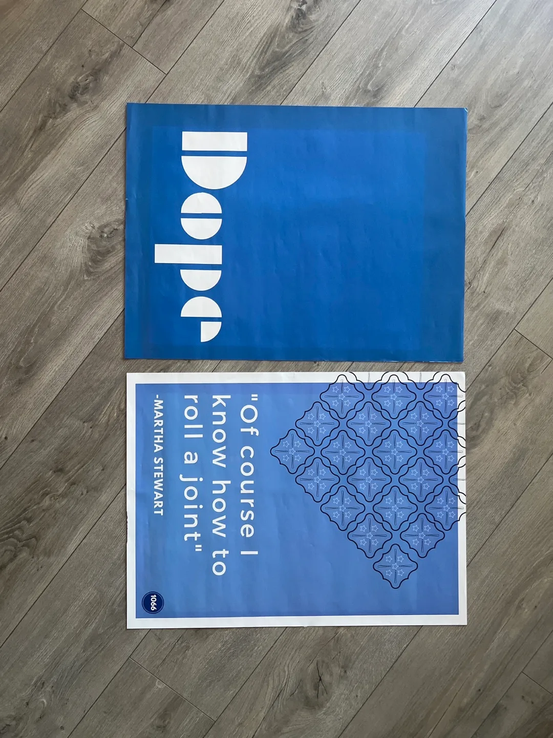 3 Prints one frame image indicator(4)