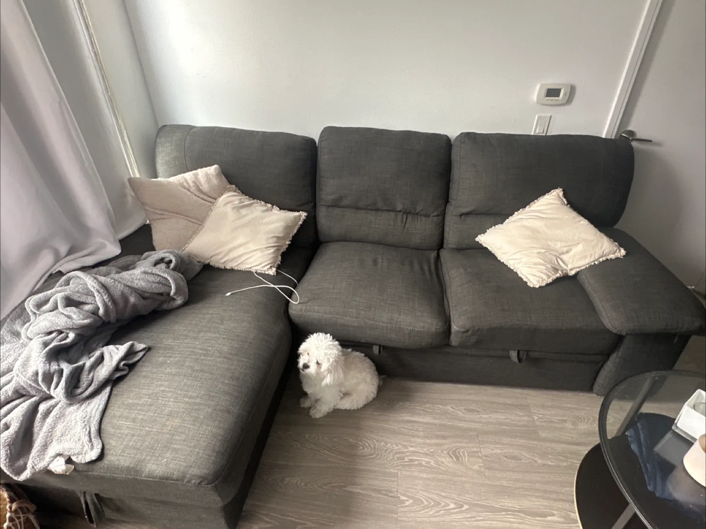 Dark Grey Sectional Sofa with Storage image indicator(4)