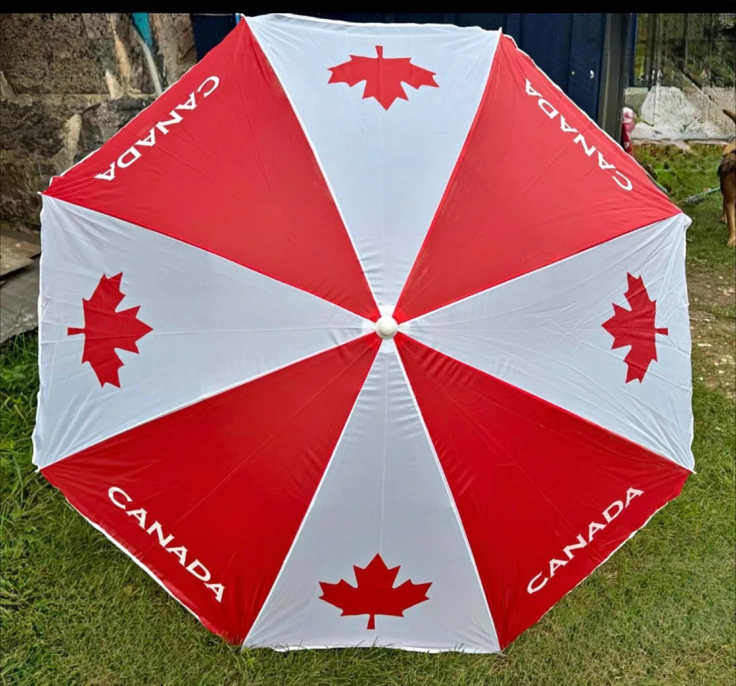 Canadian Flag Patio Umbrella thumbnail