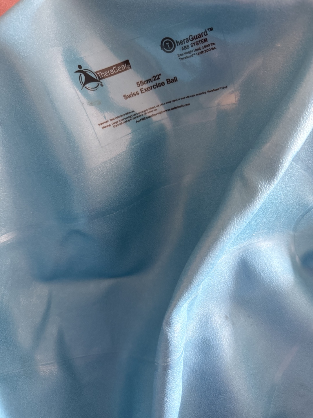 TheraGear Swiss Exercise Ball