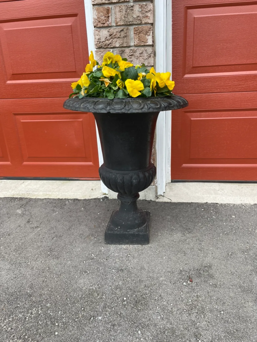2 Black Urn Planter