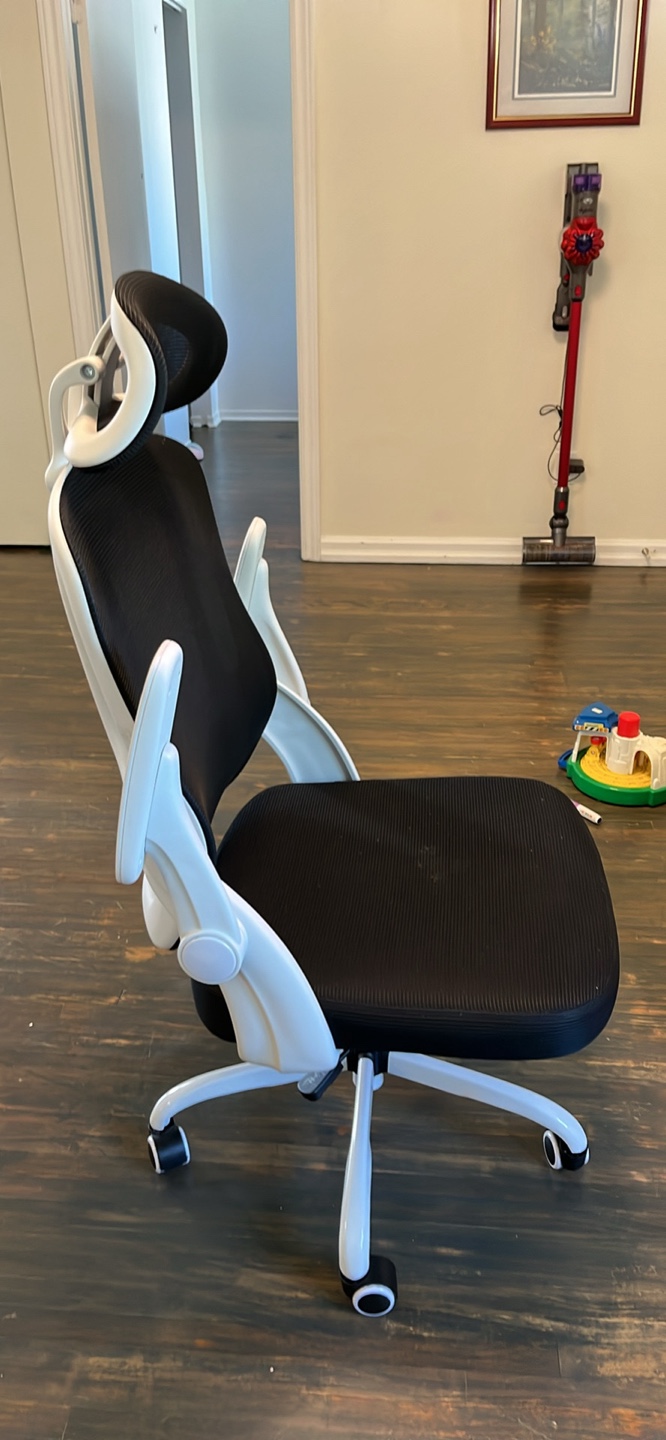 Ergonomic Mesh Office Chair with Headrest