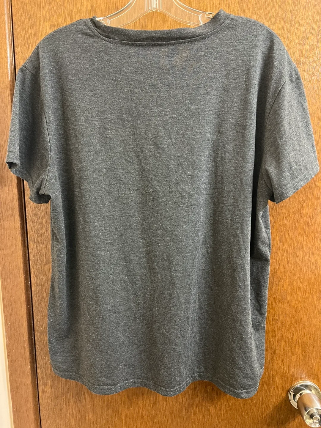 Raccoon T-shirt image indicator(2)