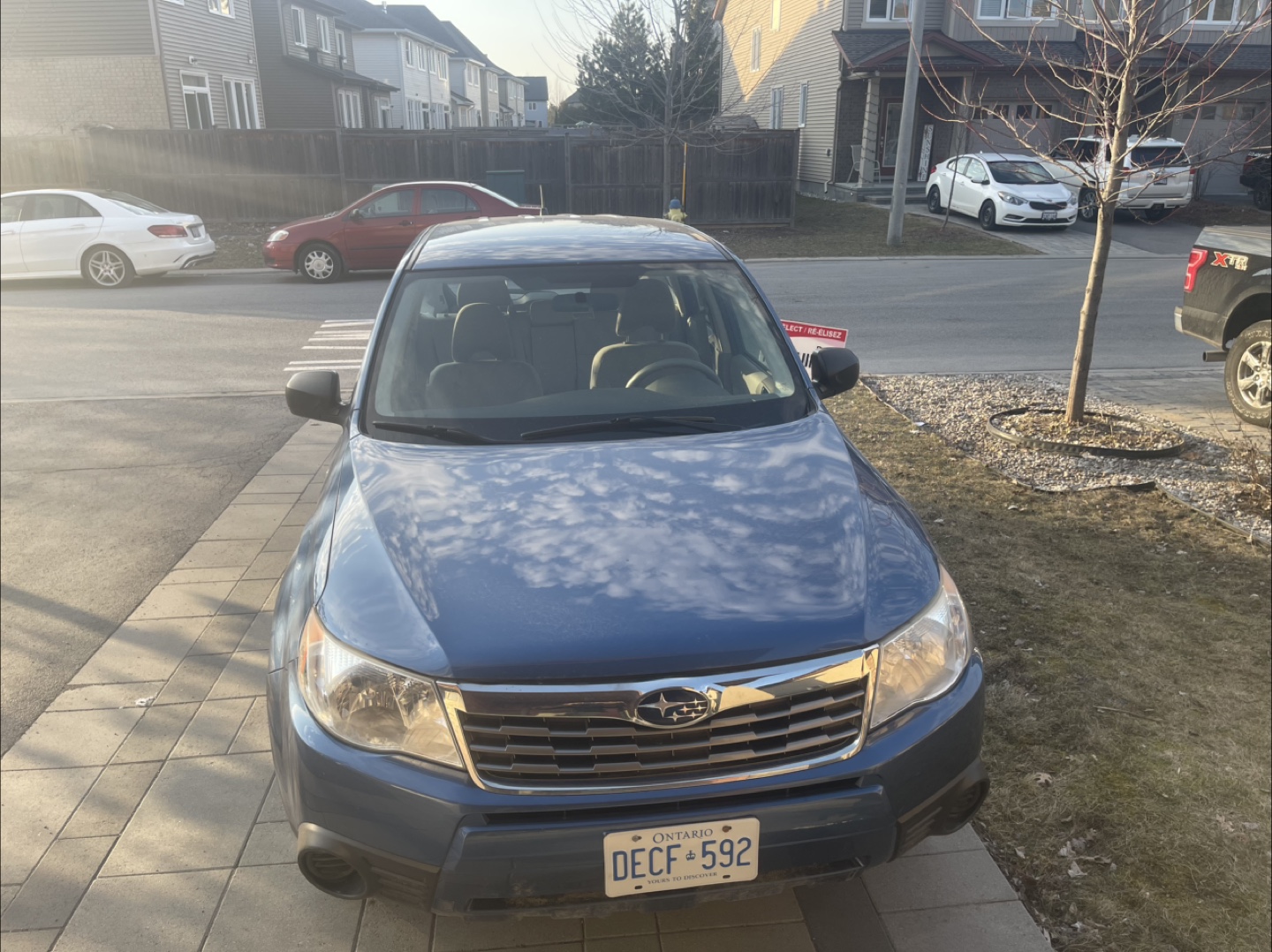 Subaru Forester - Used