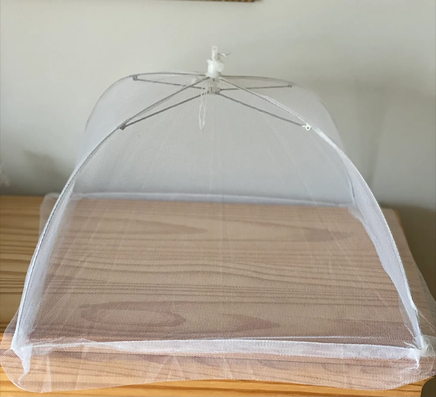 Two Pack White Mesh Food Covers image indicator(3)