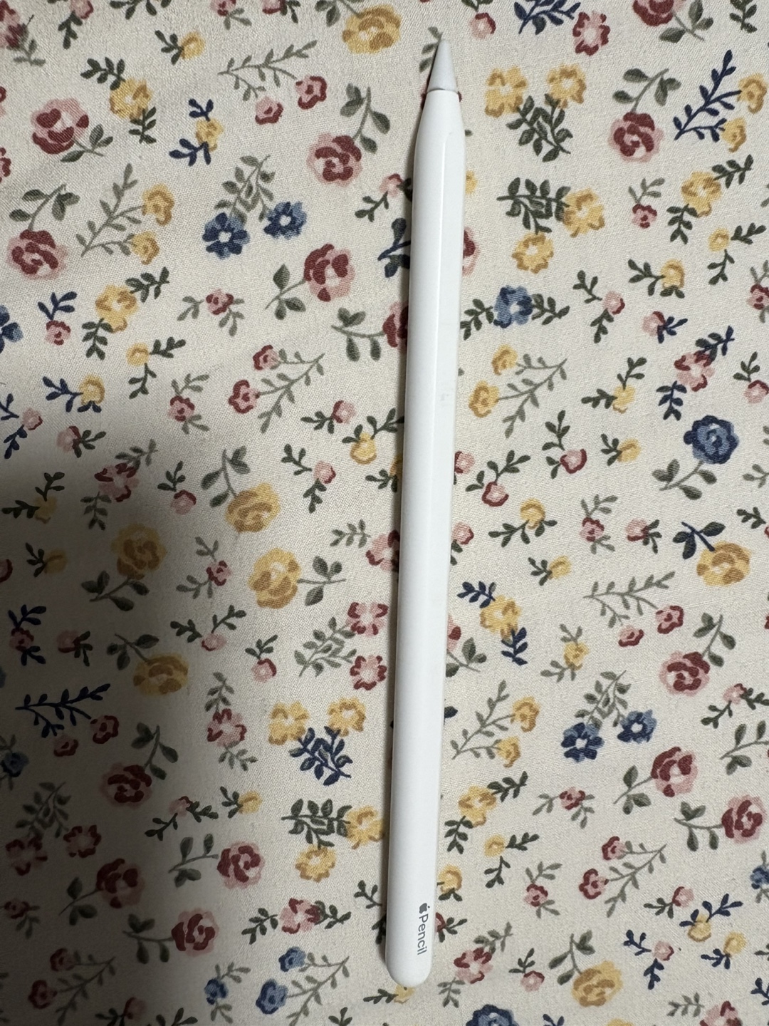 Apple Pencil 1st Generation