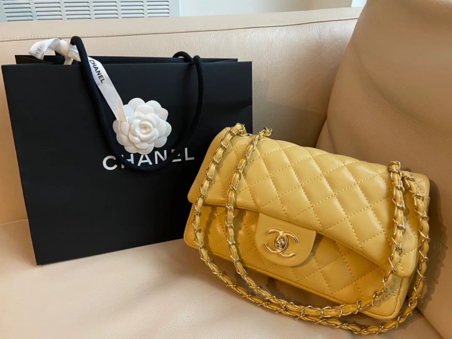 Classic Flap Bag - Pale Yellow image indicator(2)