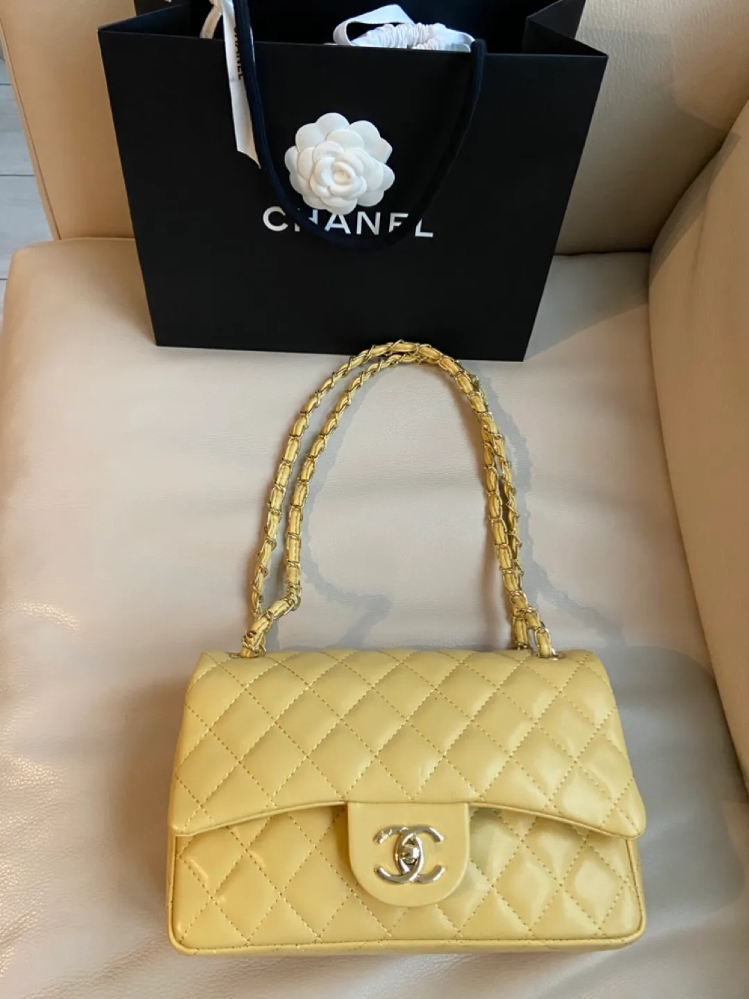 Classic Flap Bag - Pale Yellow image indicator(3)