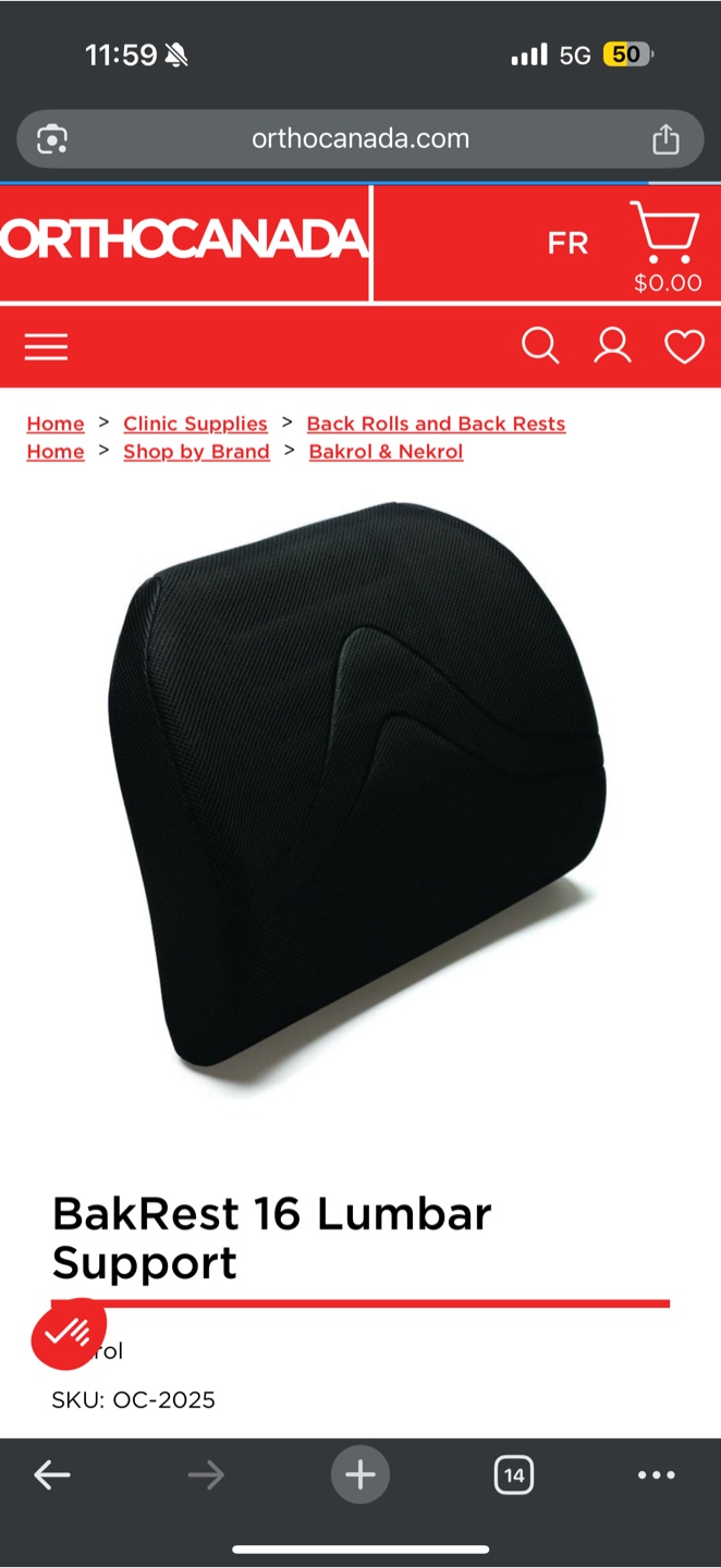 BakRest 16 Lumbar Support - photo 3
