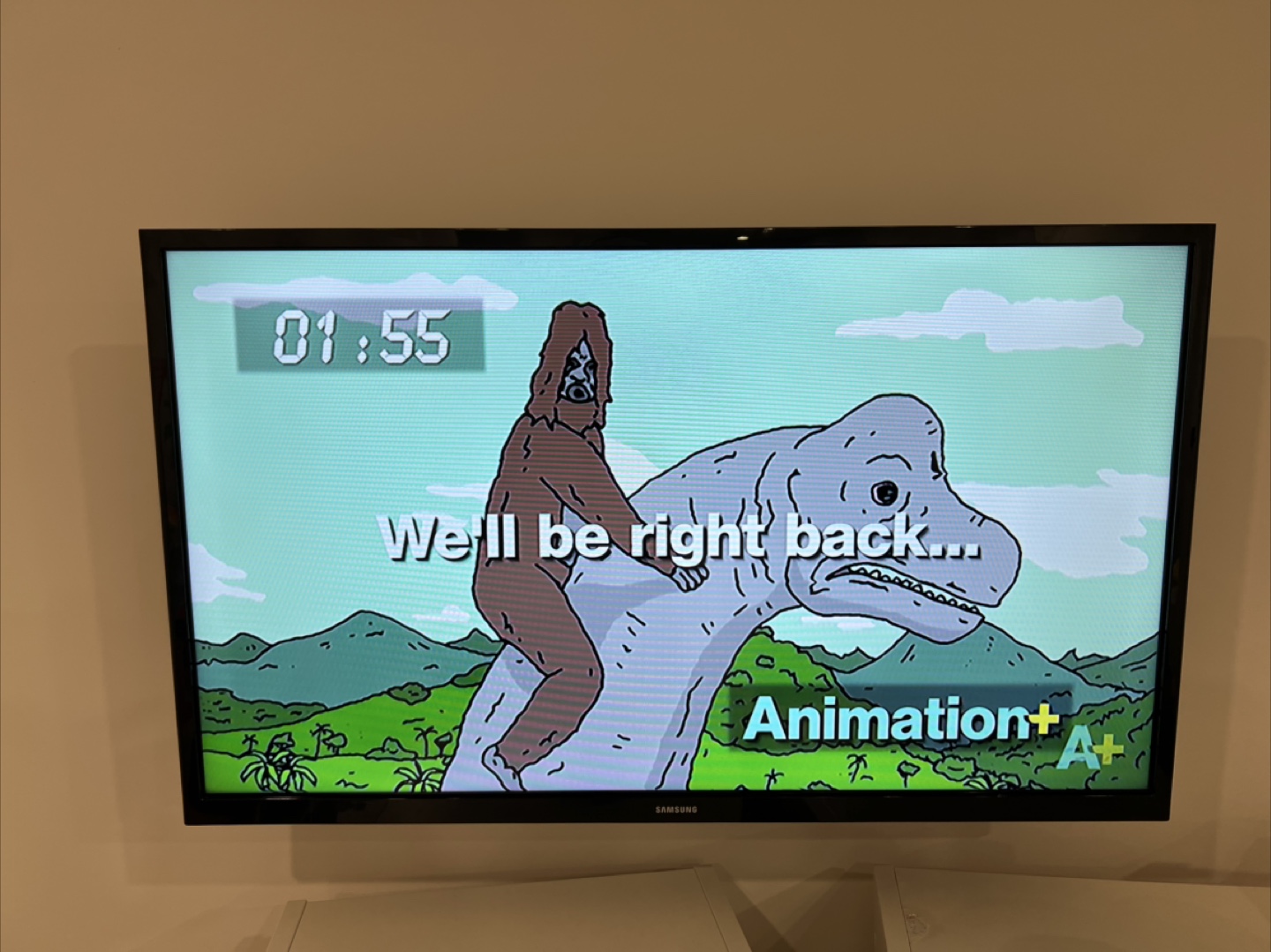 Samsung TV with wall mount