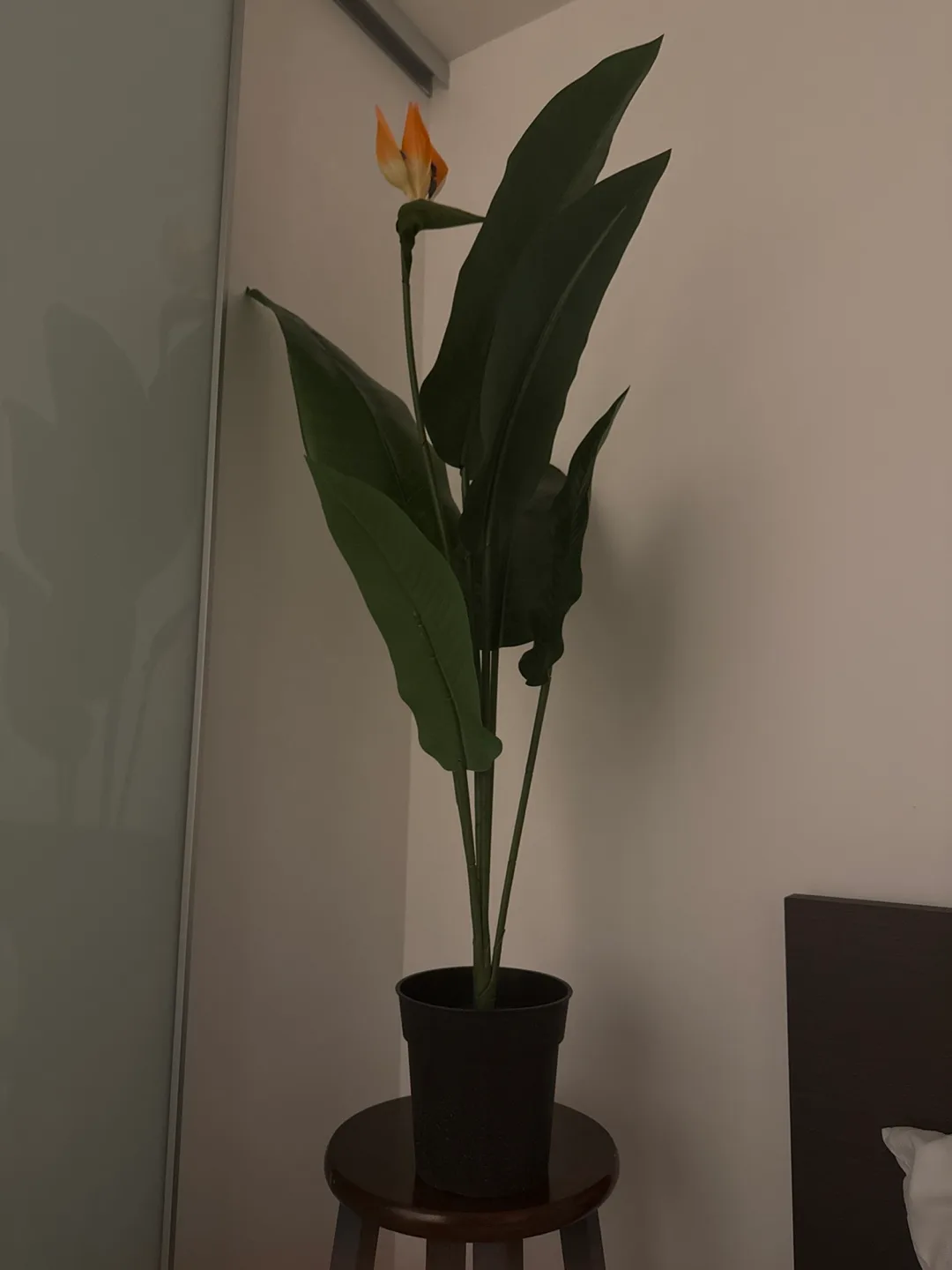 IKEA Artificial Banana Plant with Flower (FEJKA) thumbnail