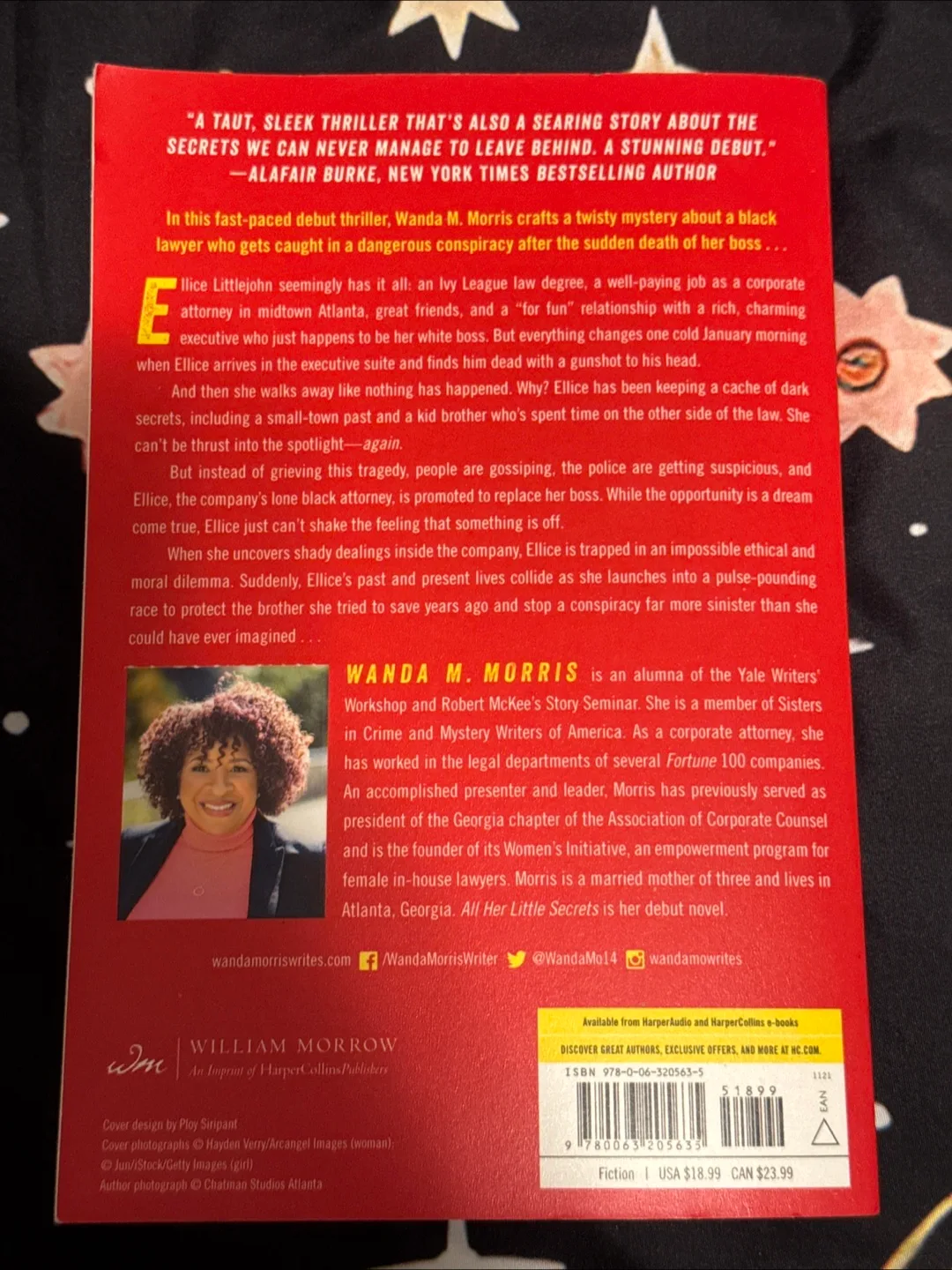 All Her Little Secrets by Wanda M. Morris - Paperback Novel book image indicator(2)