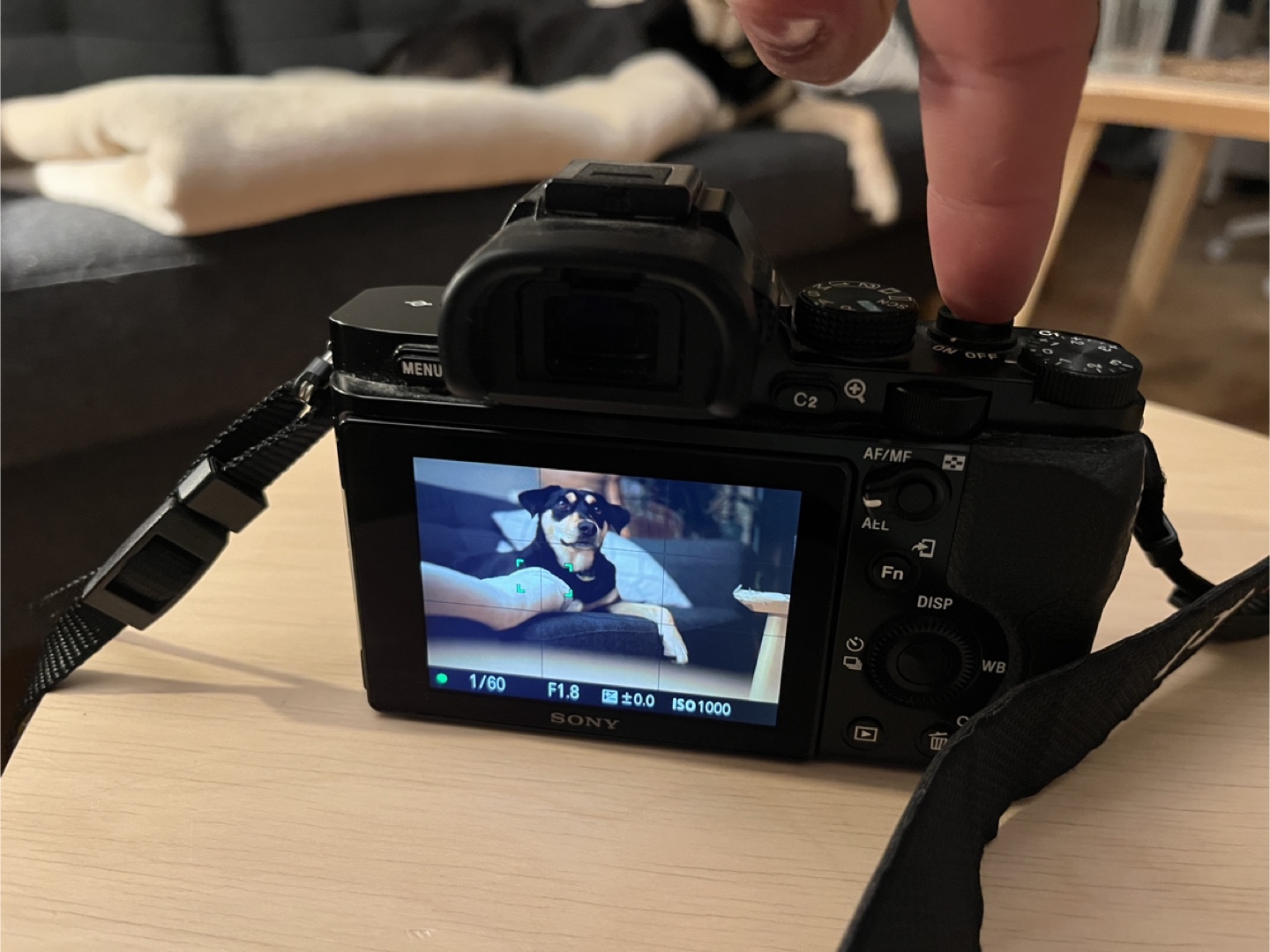 Sony Alpha 7 Mirrorless Camera with Lenses - photo 5