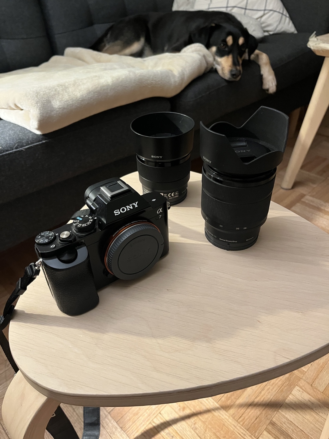 Sony Alpha 7 Mirrorless Camera with Lenses
