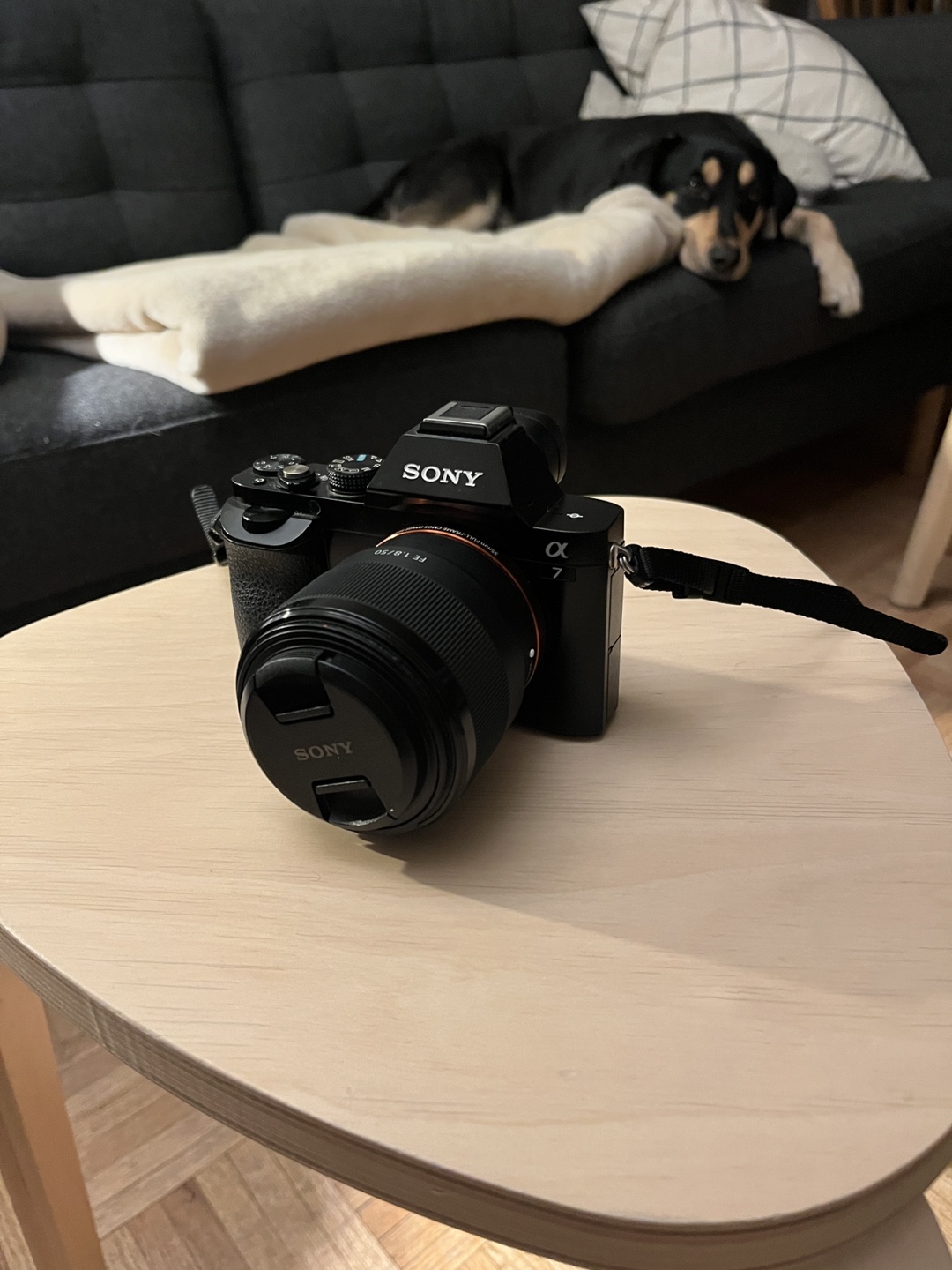 Sony Alpha 7 Mirrorless Camera with Lenses - photo 2