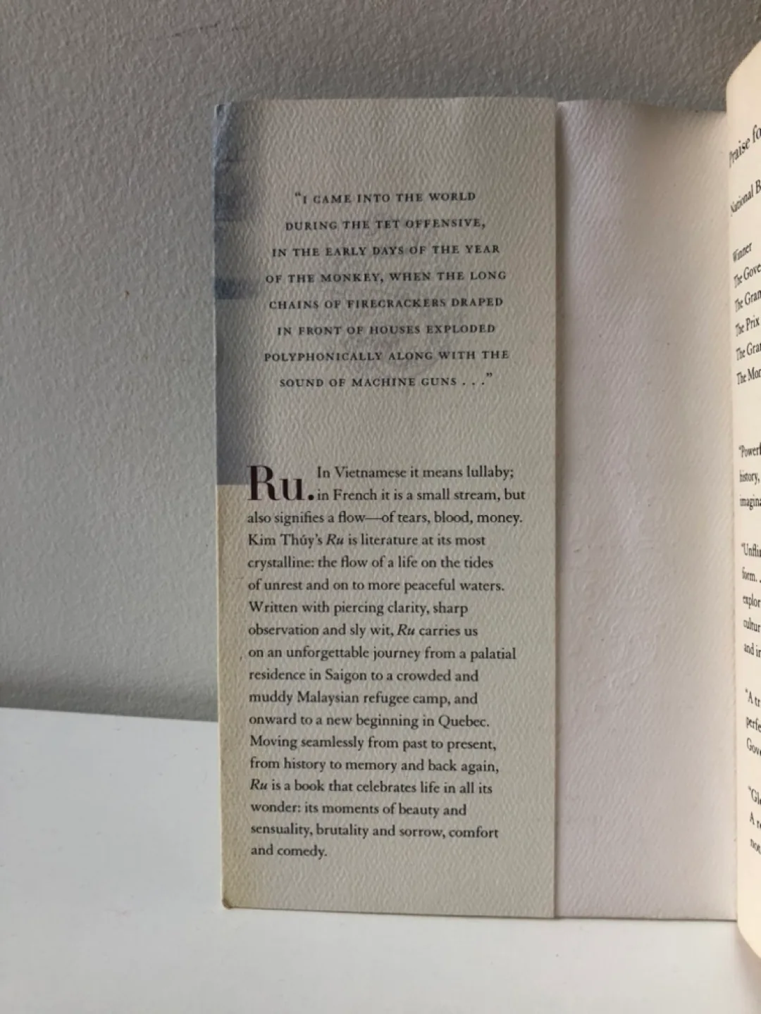 Book: Ru by Kim Thúy - Governor General's Literary Award Winner image indicator(2)