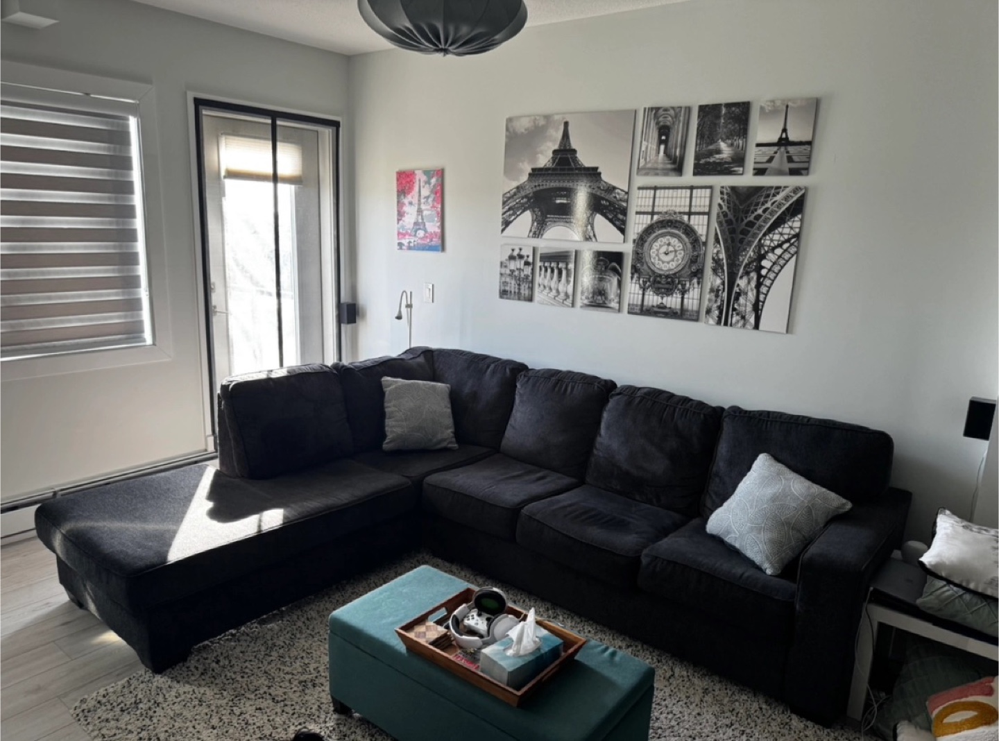 Grey Sectional Sofa w/ chaise