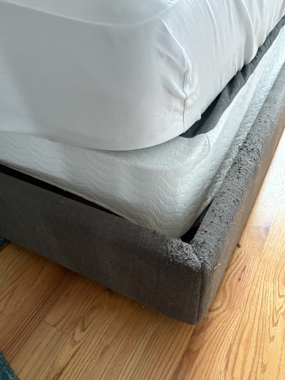 Queen Upholstered Bed Frame and mattress - photo 2