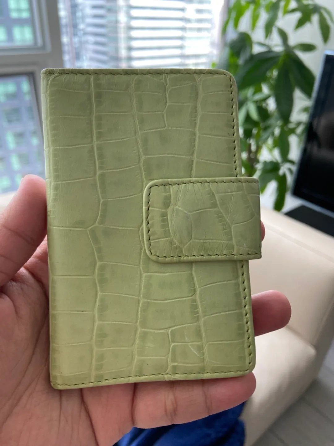 Danier Genuine Leather Card Holder - apple Green thumbnail