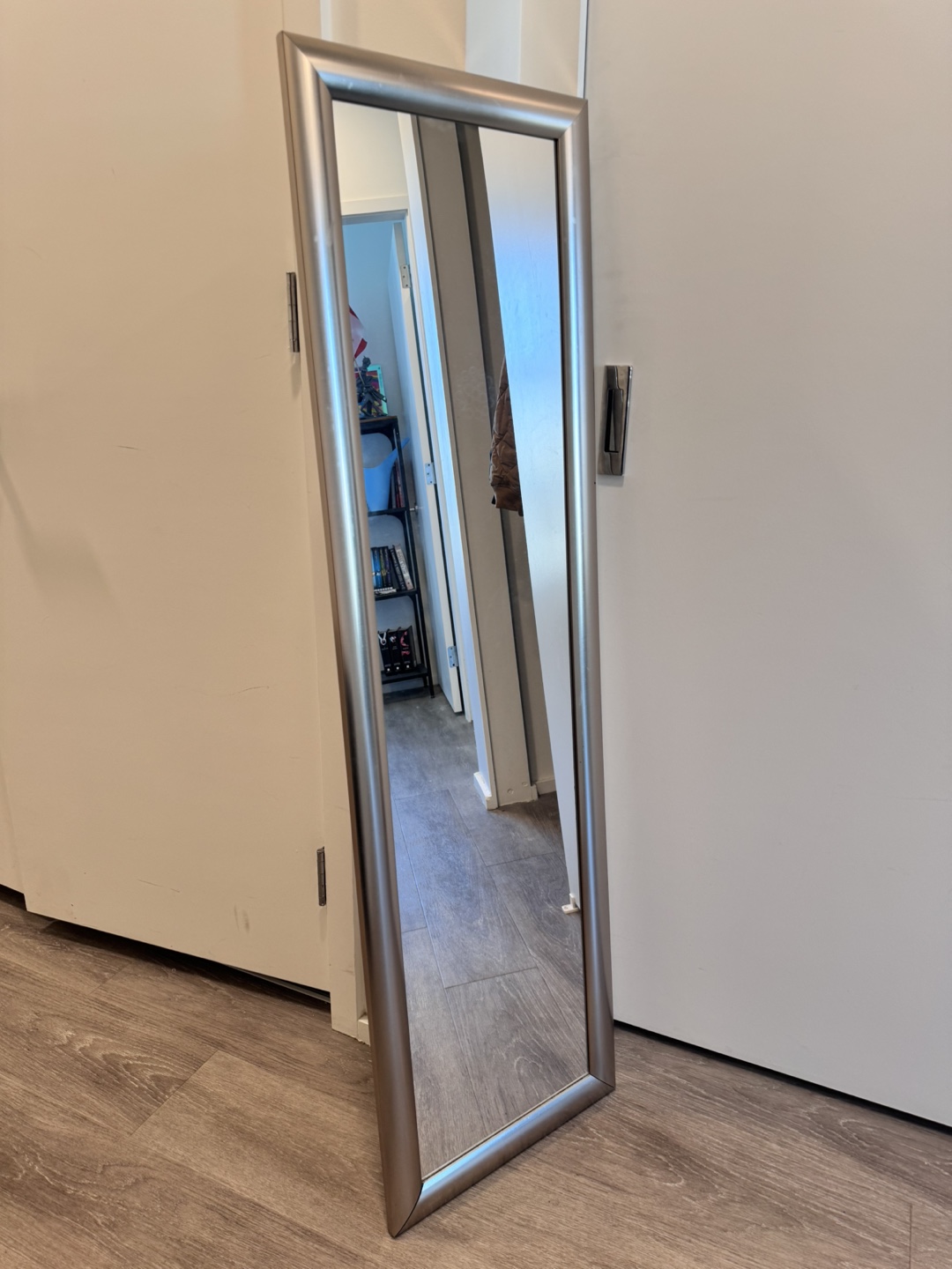 Brushed Silver Mirror