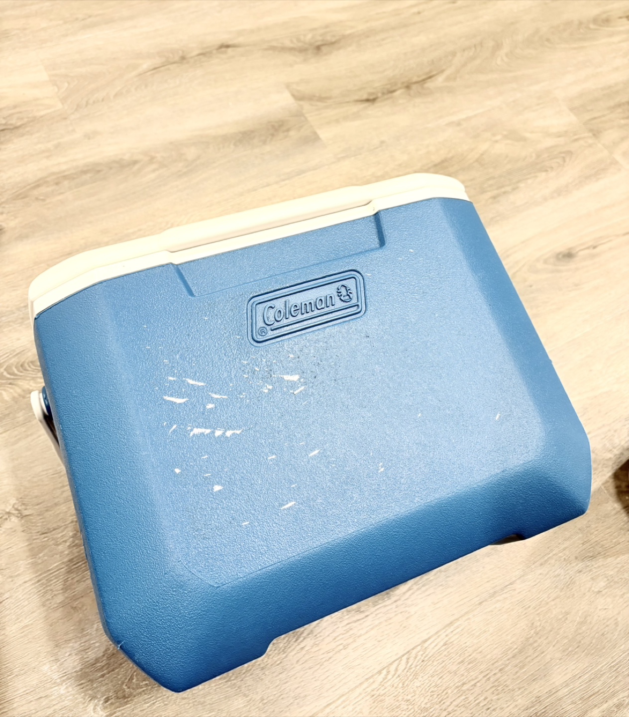 Coleman 16 Quart Cooler - photo 5