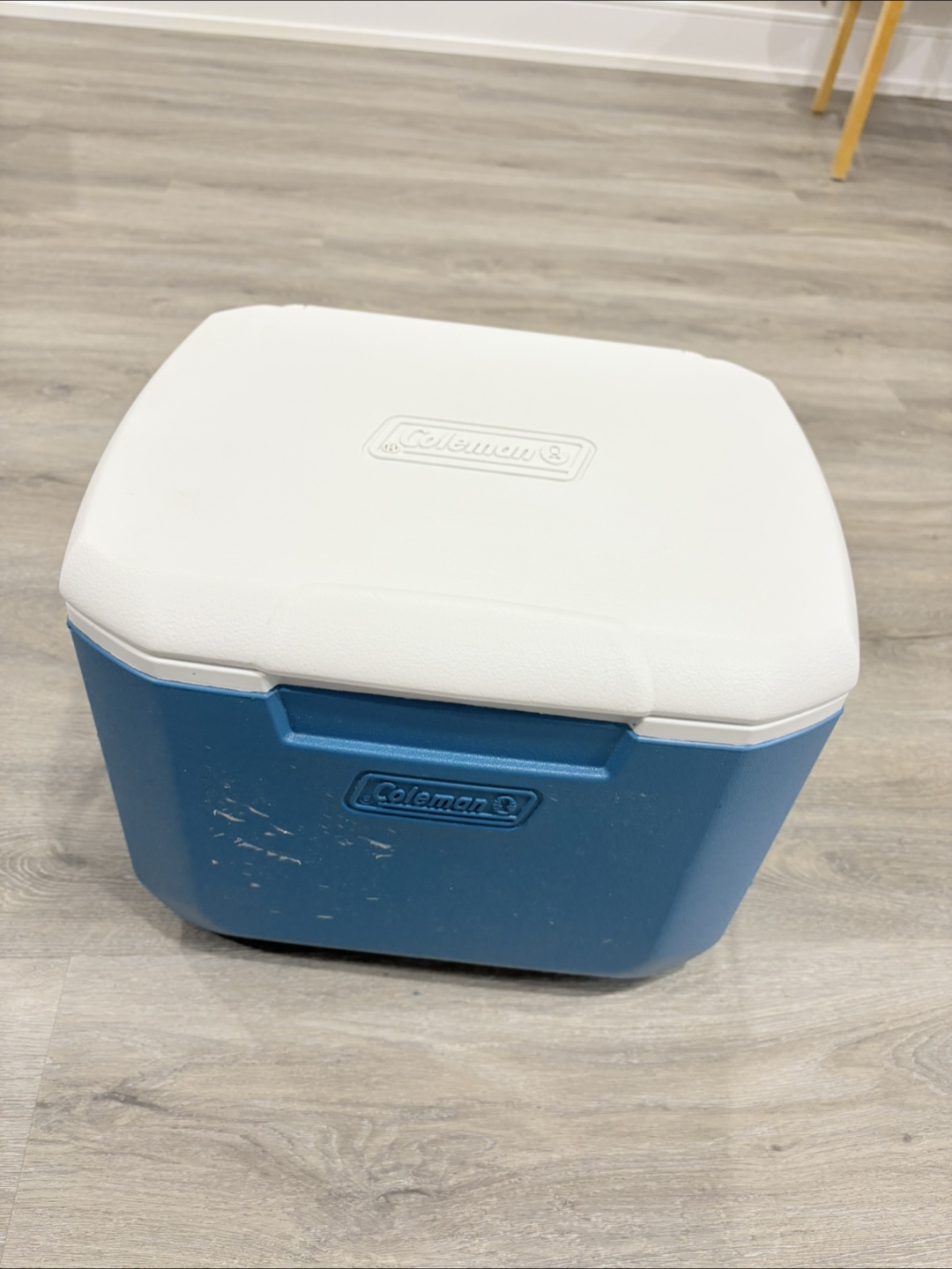 Coleman 16 Quart Cooler