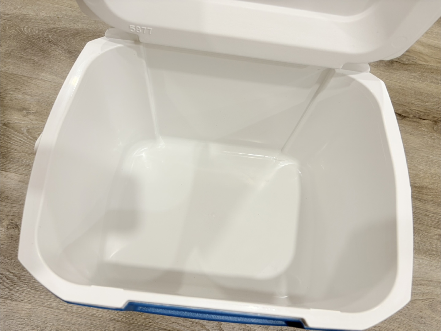 Coleman 16 Quart Cooler - photo 4