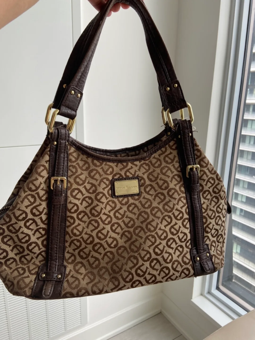Etienne Aigner Brown Handbag thumbnail