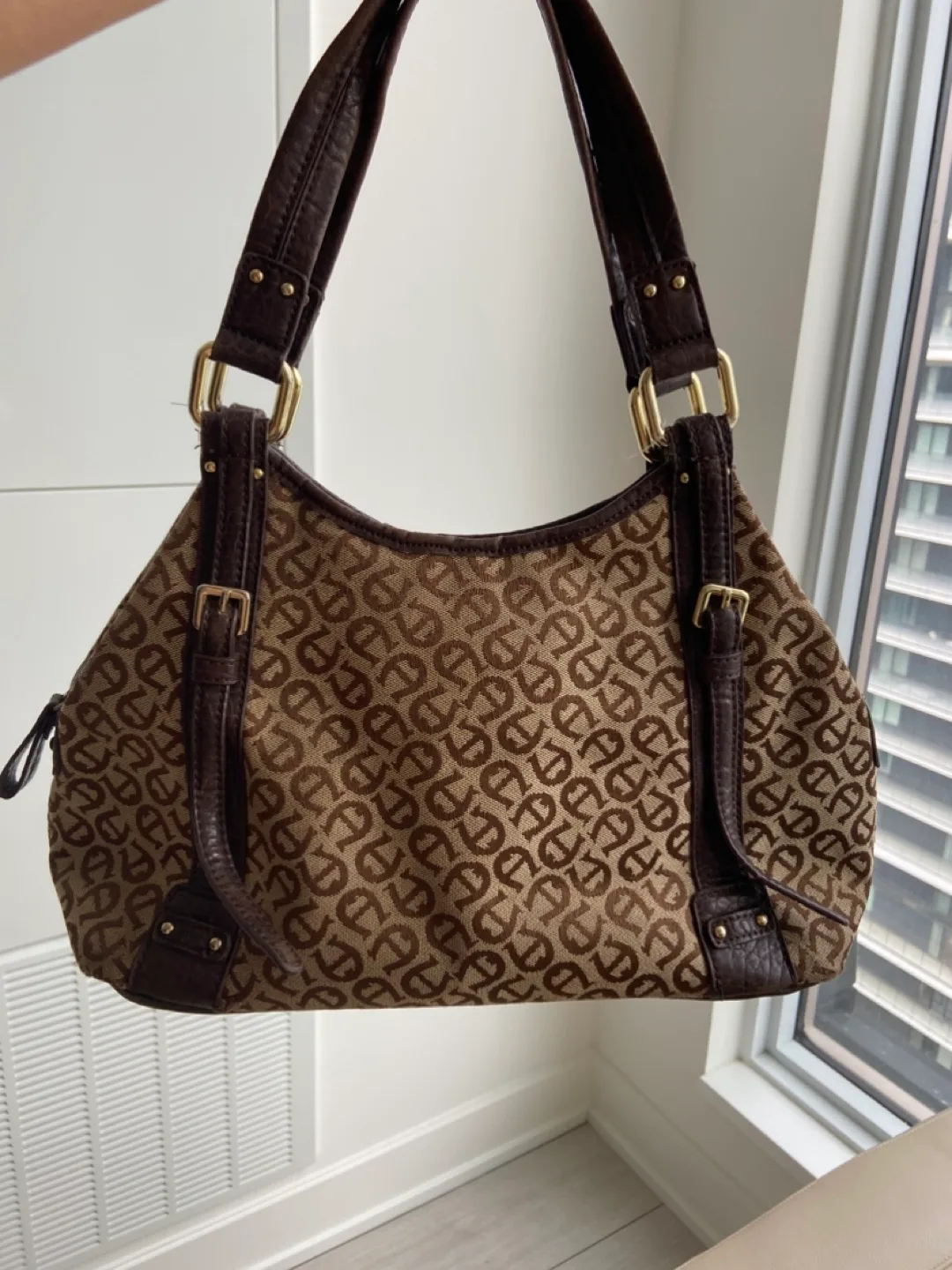 Etienne Aigner Brown Handbag image indicator(3)