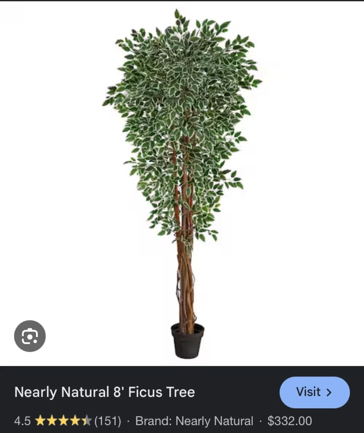 Nearly Natural 8' Ficus Tree 🌲 image indicator(2)