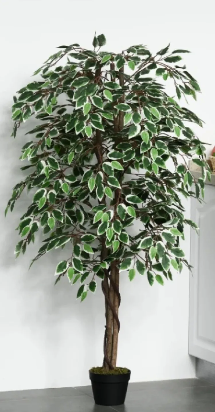 Nearly Natural 8' Ficus Tree 🌲 image indicator(3)