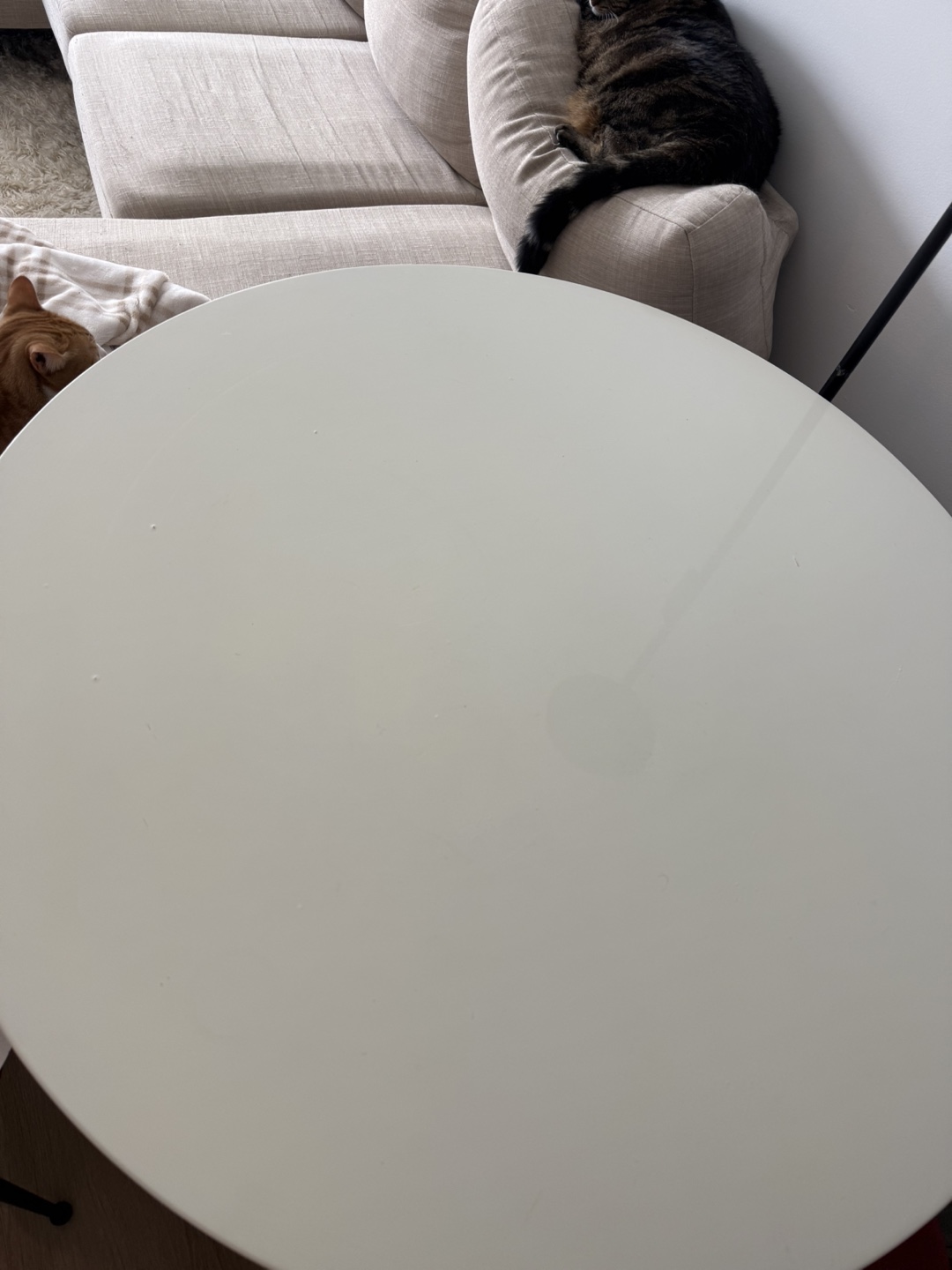 CB2 Odyssey Dining Table - photo 2