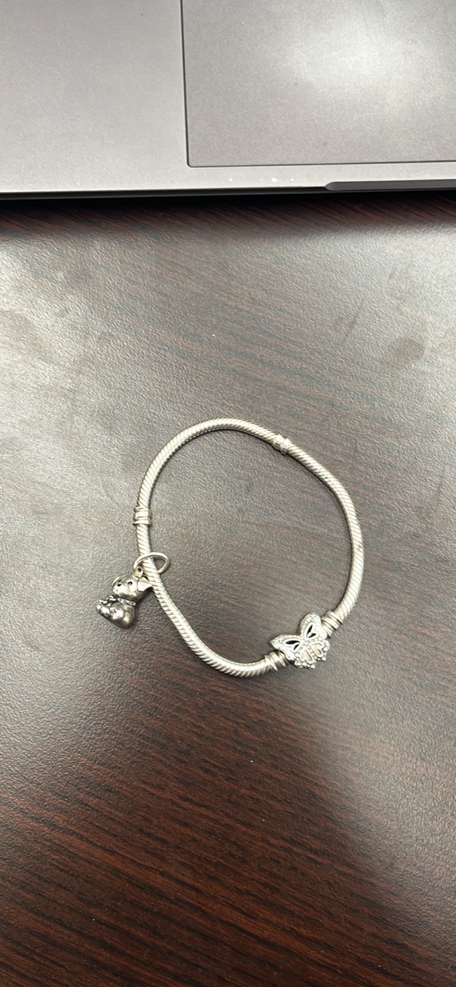 Pandora Bracelet + Charm