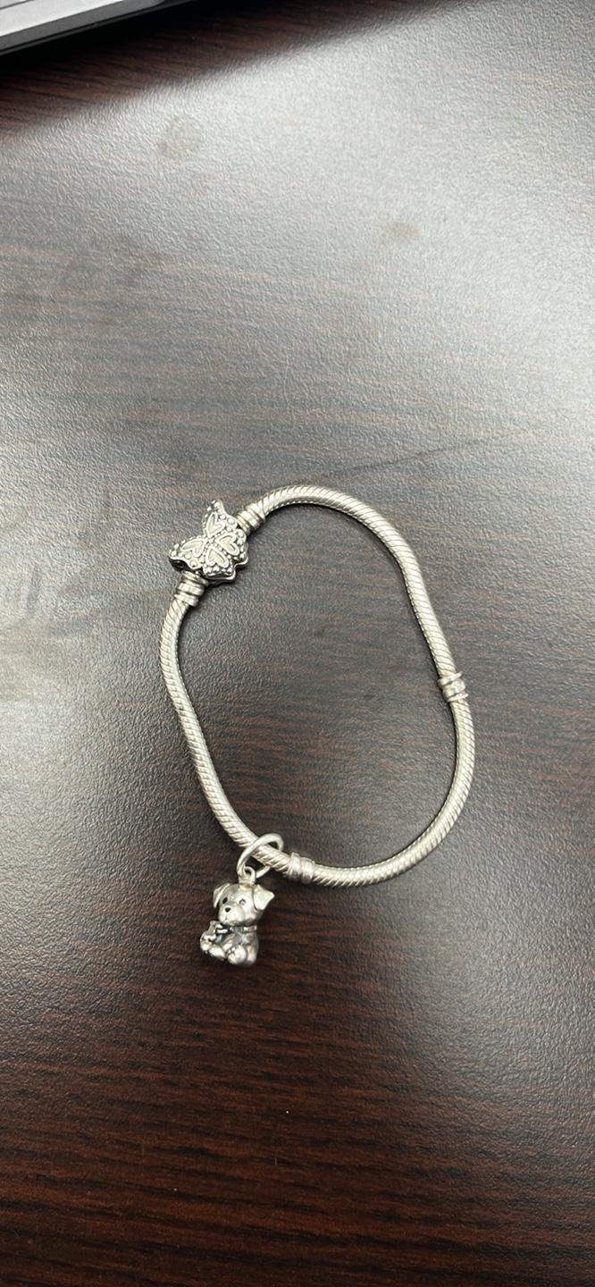 Pandora Bracelet + Charm - photo 2