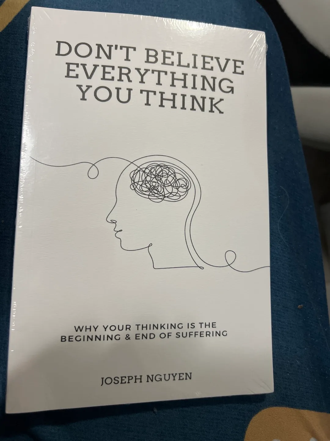 Don't Believe Everything You Think by Joseph Nguyen thumbnail