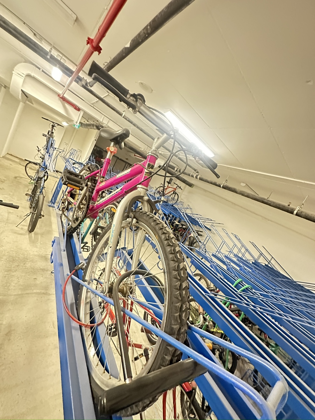 Pink Schwinn Phantom 20-inch Kids' Bike - photo 3