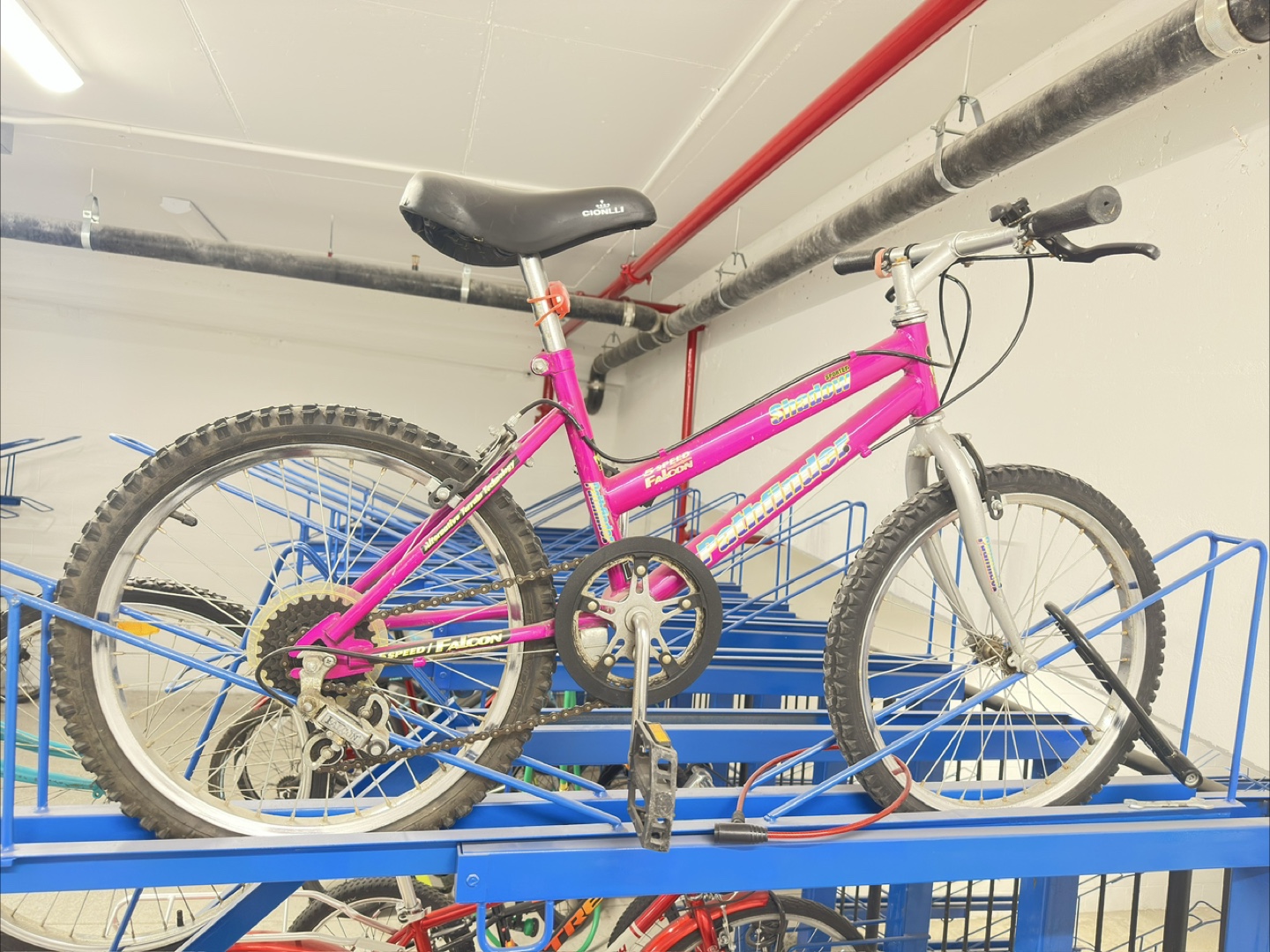 Pink Schwinn Phantom 20-inch Kids' Bike