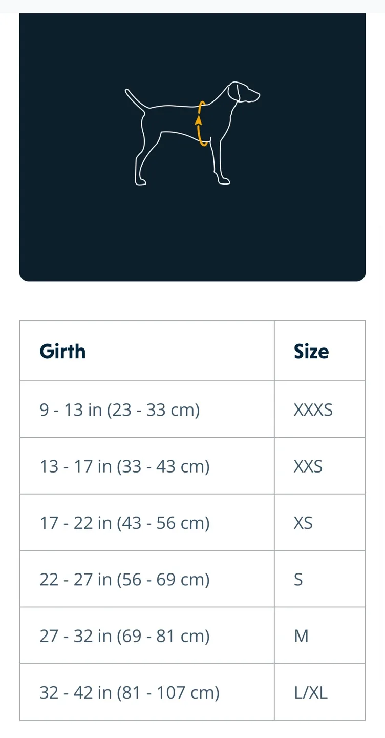 Ruffwear Hi & Light Lightweight Dog Harness - XXXS image indicator(3)