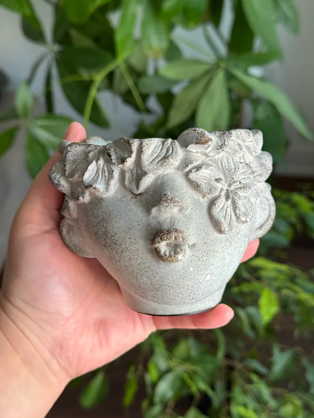 Adorable Face Planter mini thumbnail